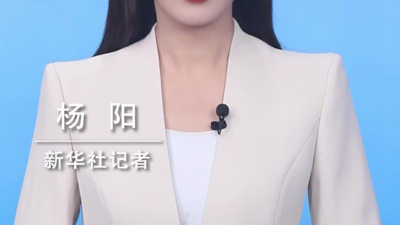 数据湖与AI平台：价格背后的价值考量